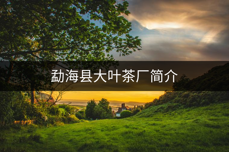 勐?？h大葉茶廠簡介