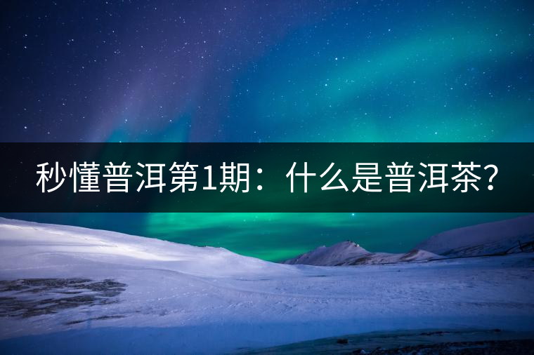 秒懂普洱第1期：什么是普洱茶？