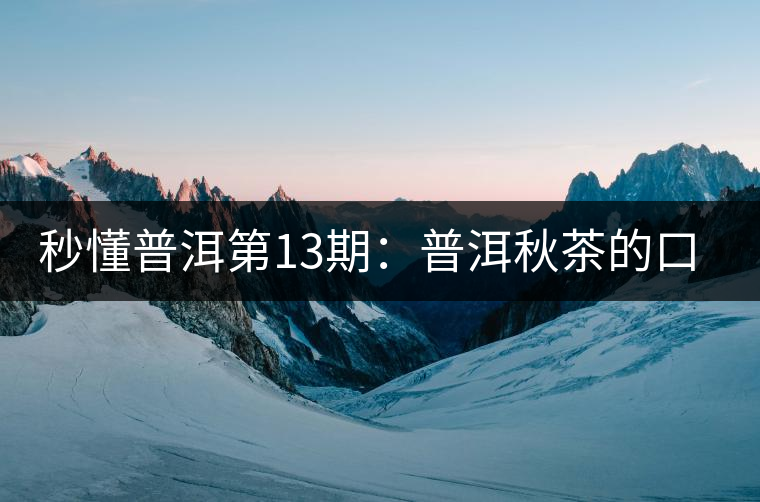 秒懂普洱第13期：普洱秋茶的口感特點(diǎn)？