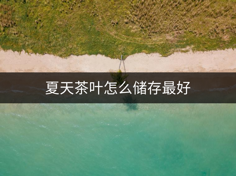 夏天茶葉怎么儲存最好