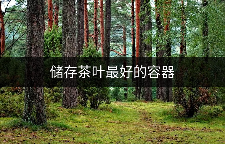 儲(chǔ)存茶葉最好的容器