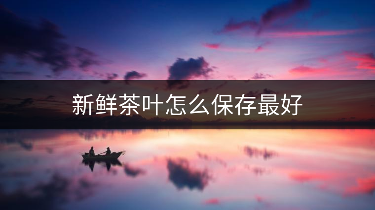 新鮮茶葉怎么保存最好