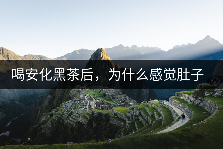 喝安化黑茶后，為什么感覺肚子餓的快？