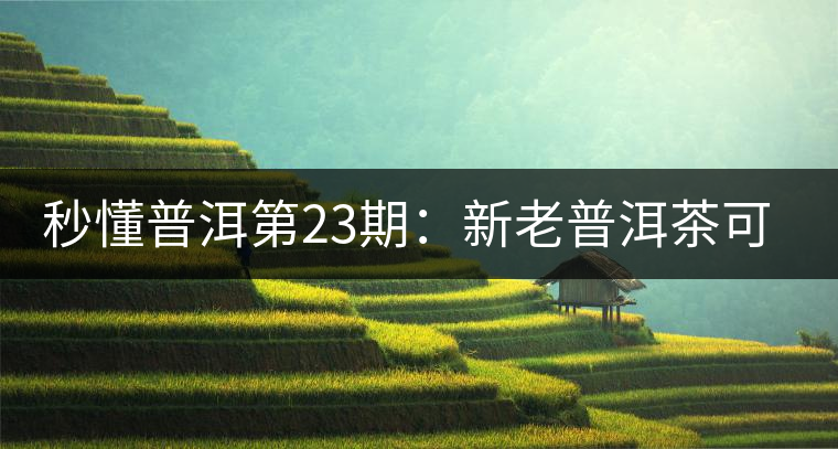 秒懂普洱第23期：新老普洱茶可以放到一起嗎？
