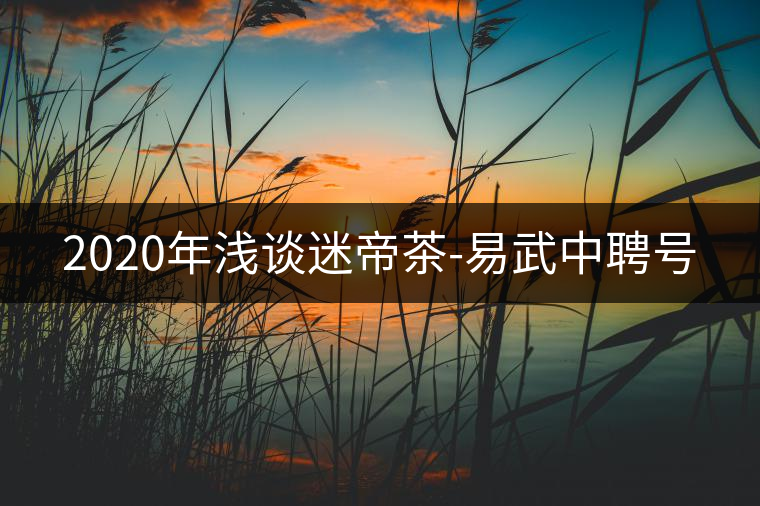 2020年淺談迷帝茶-易武中聘號 2020年淺談迷帝茶-易武中聘號