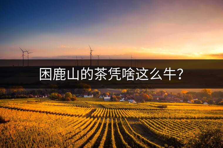困鹿山的茶憑啥這么牛？
