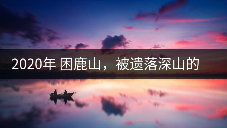 2020年 困鹿山，被遺落深山的皇家古茶園-易武中聘號(hào)