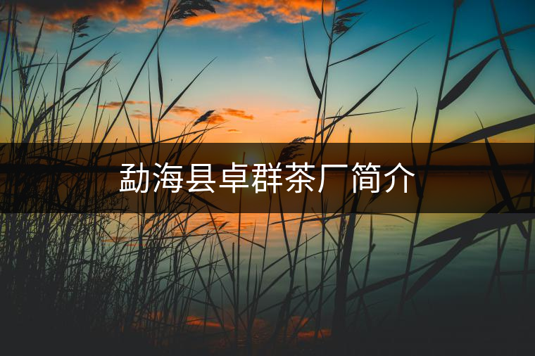 勐?？h卓群茶廠簡(jiǎn)介
