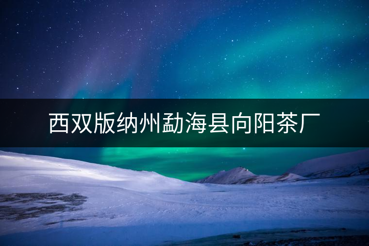 西雙版納州勐?？h向陽(yáng)茶廠(chǎng)