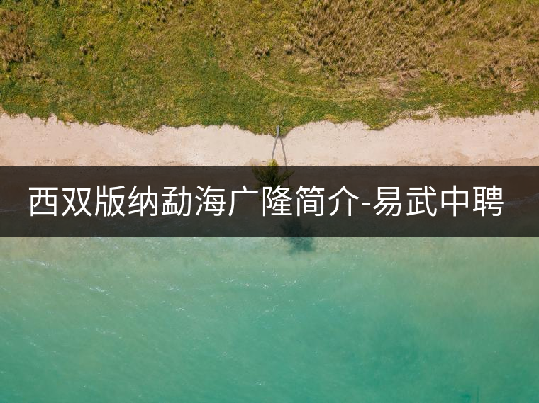 西雙版納勐海廣隆簡介-易武中聘號 西雙版納勐海廣隆簡介-易武中聘號