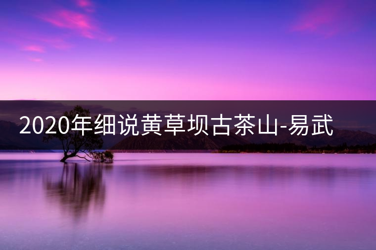 2020年細(xì)說(shuō)黃草壩古茶山-易武中聘號(hào) 2020年細(xì)說(shuō)黃草壩古茶山-易武中聘號(hào)