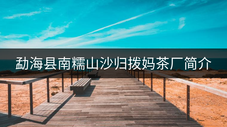 勐?？h南糯山沙歸撥媽茶廠簡(jiǎn)介