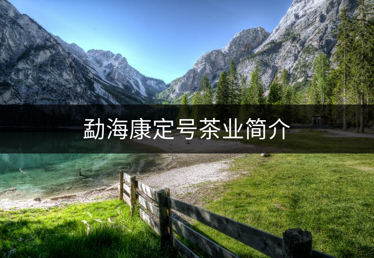 勐??刀ㄌ?hào)茶業(yè)簡(jiǎn)介 勐海康定號(hào)茶業(yè)簡(jiǎn)介