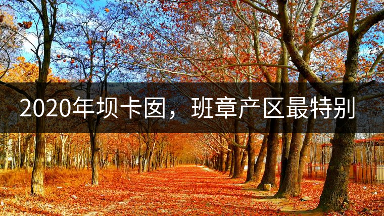 2020年壩卡囡，班章產(chǎn)區(qū)最特別的茶 -易武中聘號