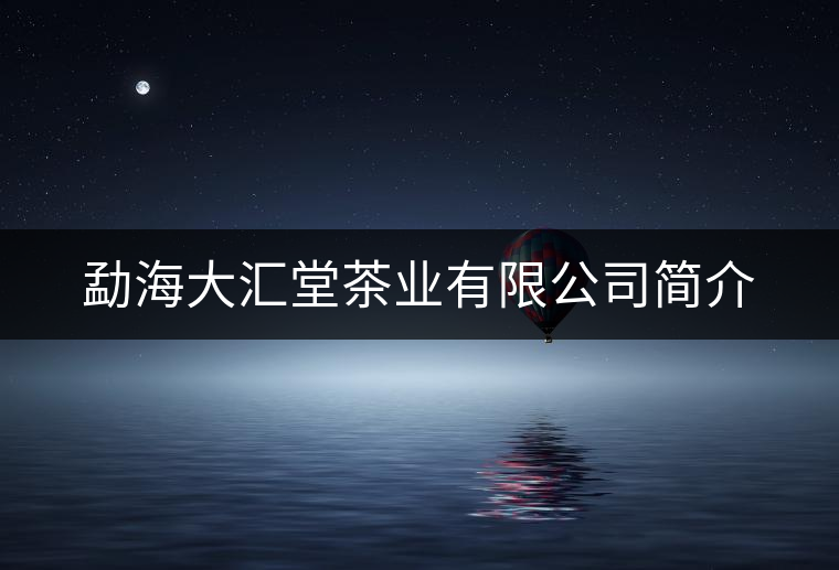 勐海大匯堂茶業(yè)有限公司簡介 勐海大匯堂茶業(yè)有限公司簡介