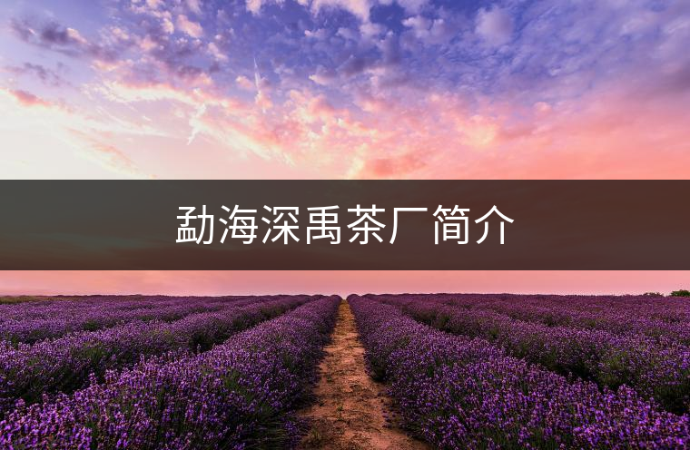 勐海深禹茶廠簡(jiǎn)介 勐海深禹茶廠簡(jiǎn)介