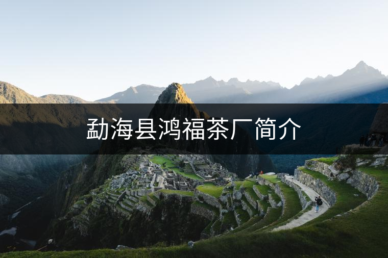 勐?？h鴻福茶廠簡(jiǎn)介