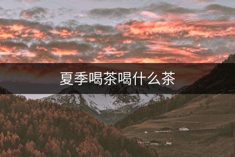 夏季喝茶喝什么茶