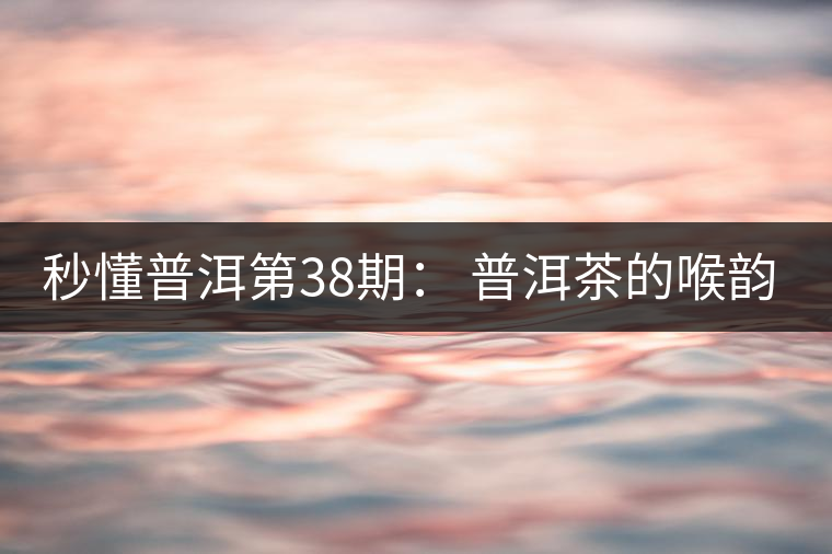 秒懂普洱第38期： 普洱茶的喉韻是什么？