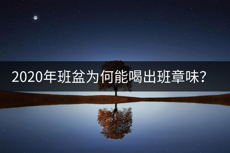 2020年班盆為何能喝出班章味？-易武中聘號
