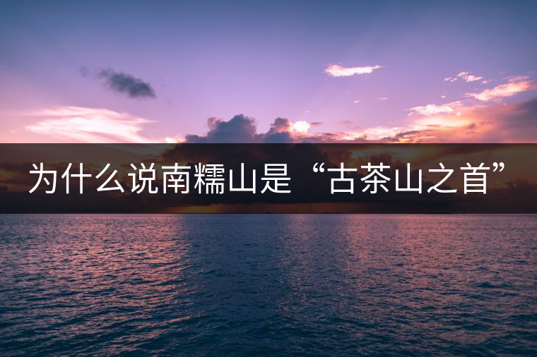 為什么說南糯山是“古茶山之首”？