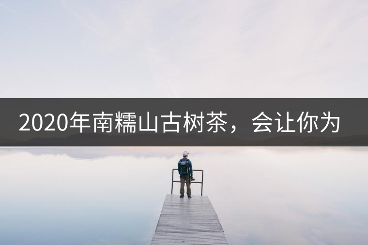 2020年南糯山古樹茶，會(huì)讓你為之著迷-易武中聘號