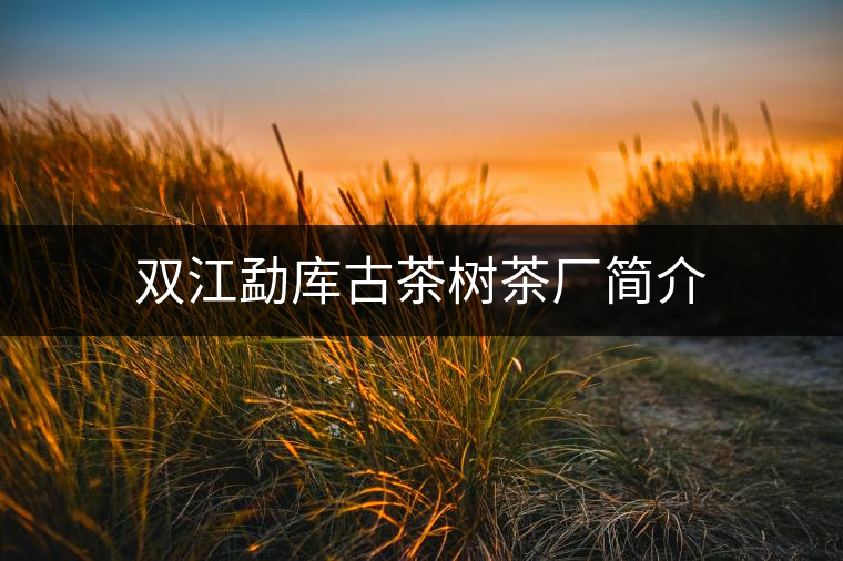 雙江勐庫(kù)古茶樹(shù)茶廠(chǎng)簡(jiǎn)介 雙江勐庫(kù)古茶樹(shù)茶廠(chǎng)簡(jiǎn)介