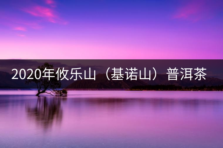 2020年攸樂山（基諾山）普洱茶的特點 -易武中聘號