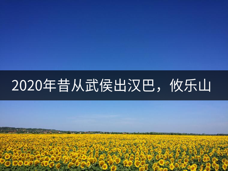 2020年昔從武侯出漢巴，攸樂(lè)山中只種茶。-易武中聘號(hào)