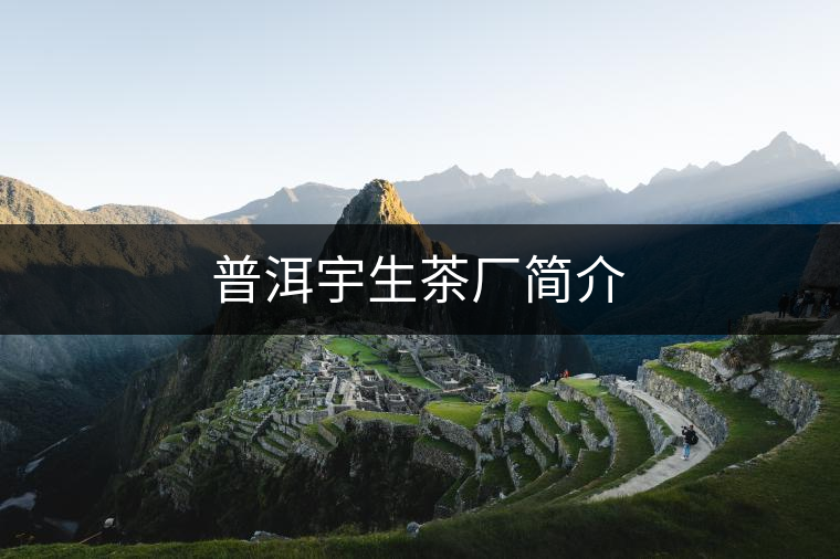 普洱宇生茶廠簡(jiǎn)介