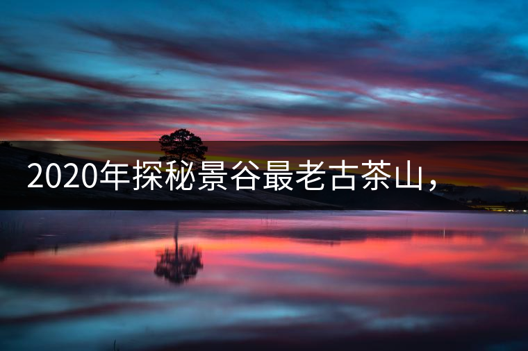 2020年探秘景谷最老古茶山，一個家族的興茶往事-易武中聘號