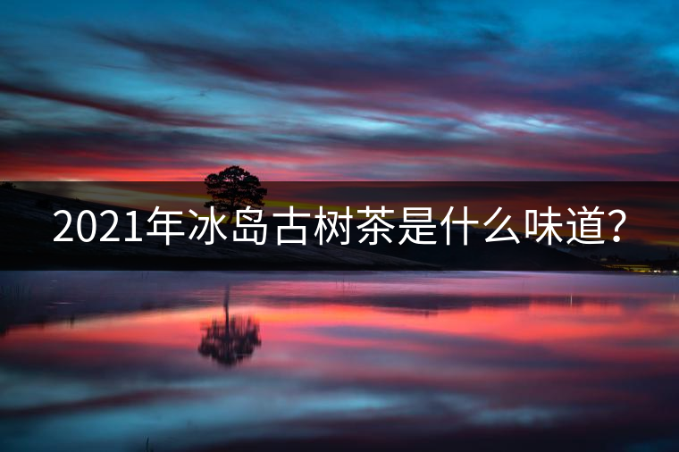 2021年冰島古樹茶是什么味道？