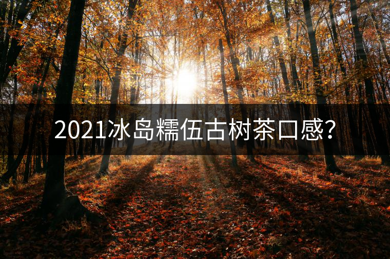 2021冰島糯伍古樹(shù)茶口感？