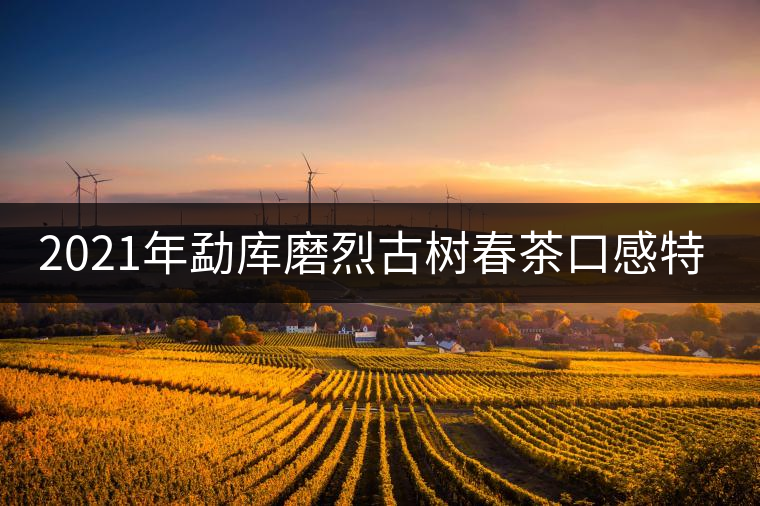 2021年勐庫磨烈古樹春茶口感特點(diǎn)是什么？