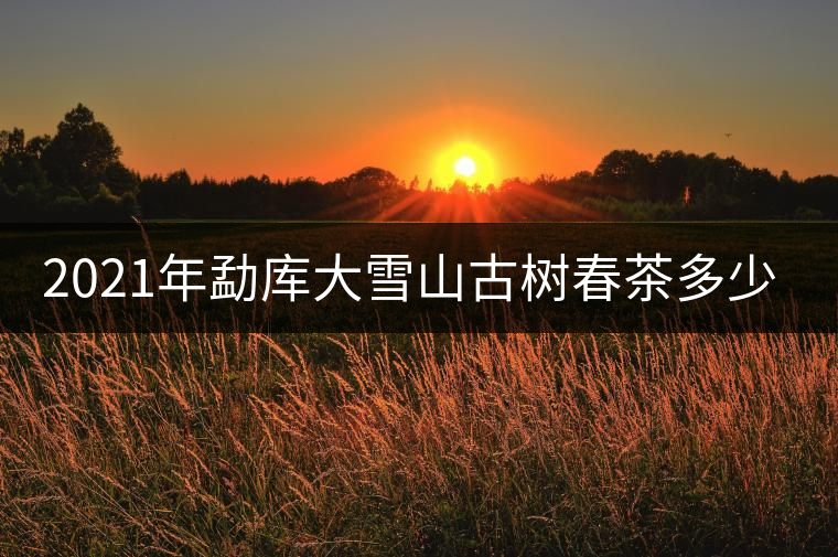 2021年勐庫大雪山古樹春茶多少錢一公斤？