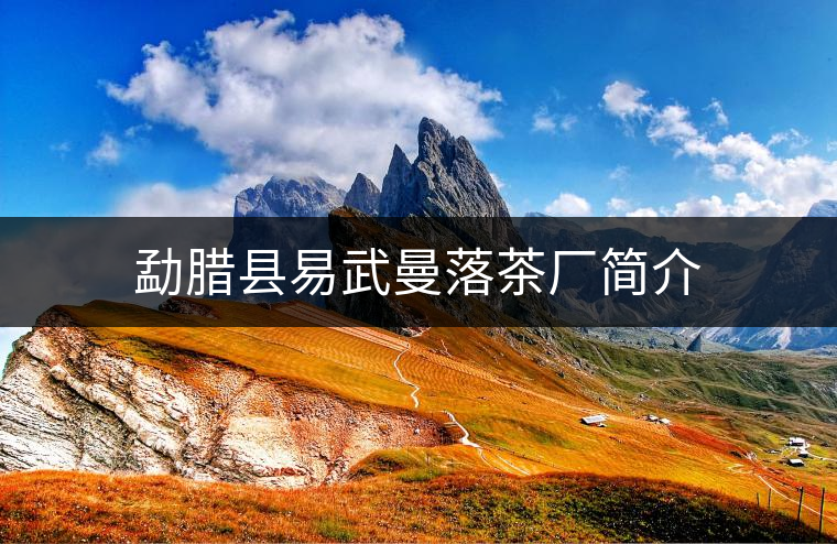 勐臘縣易武曼落茶廠簡介