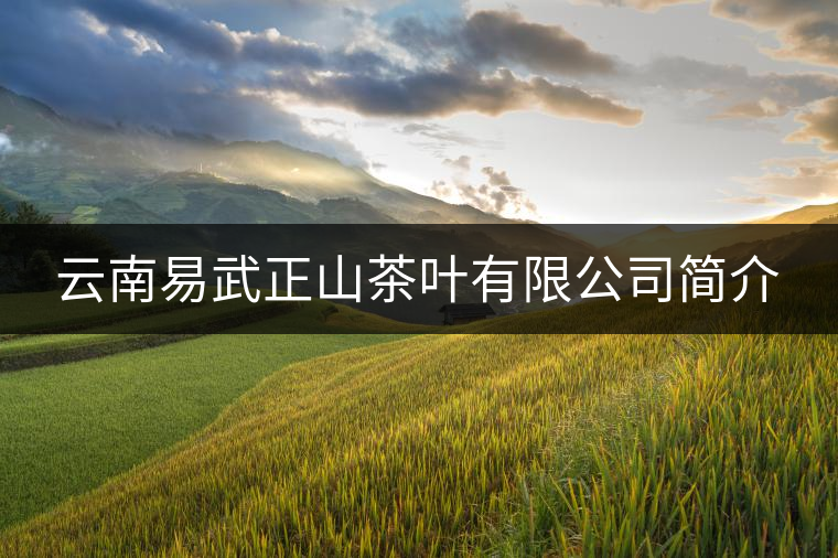 云南易武正山茶葉有限公司簡介 云南易武正山茶葉有限公司簡介