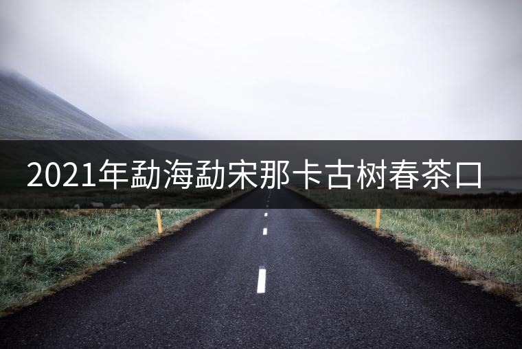 2021年勐海勐宋那卡古樹(shù)春茶口感？