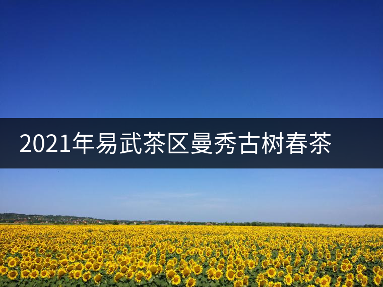 2021年易武茶區(qū)曼秀古樹(shù)春茶多少錢一公斤