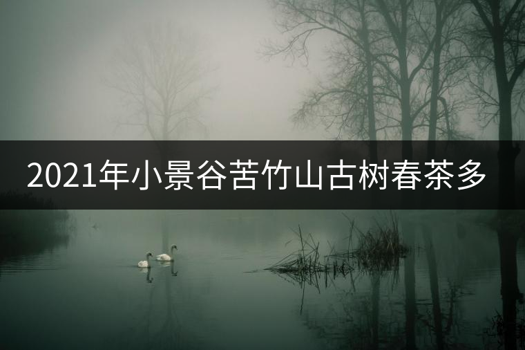2021年小景谷苦竹山古樹春茶多少錢一公斤? 2021年小景谷苦竹山古樹春茶多少錢一公斤?