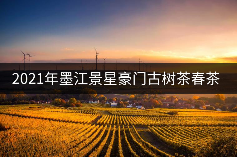 2021年墨江景星豪門古樹茶春茶價(jià)格多少錢一斤？