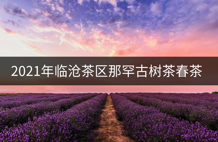 2021年臨滄茶區(qū)那罕古樹茶春茶多少錢一公斤？