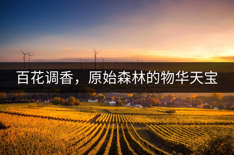 百花調(diào)香，原始森林的物華天寶
