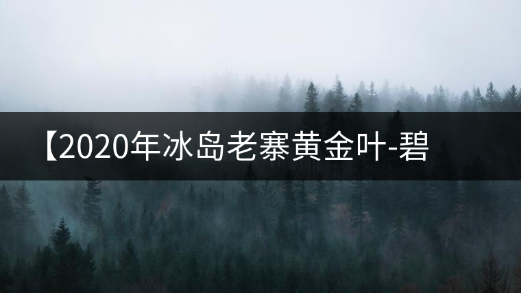 【2020年冰島老寨黃金葉-碧波蕩漾一抹香，輕啜半盞甘若露。