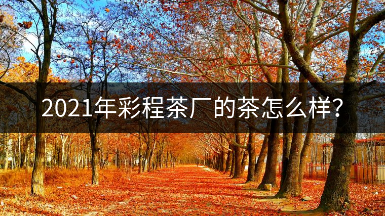 2021年彩程茶廠的茶怎么樣？