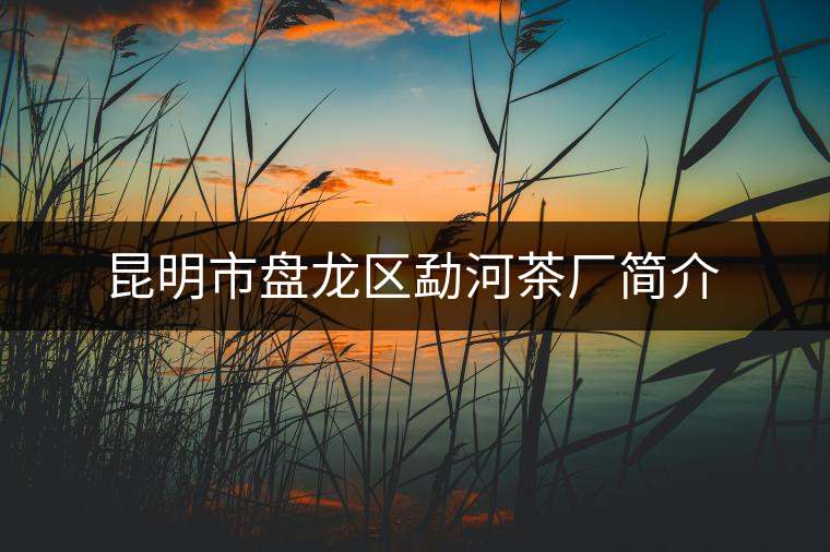 昆明市盤(pán)龍區(qū)勐河茶廠簡(jiǎn)介
