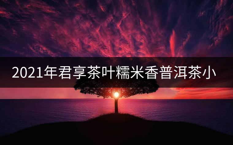 2021年君享茶葉糯米香普洱茶小沱茶餅口感好嗎？