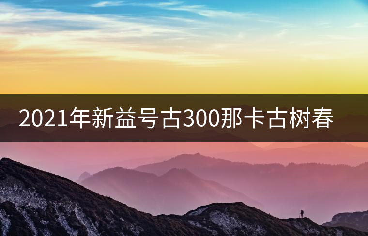 2021年新益號(hào)古300那卡古樹春茶口感怎么樣？