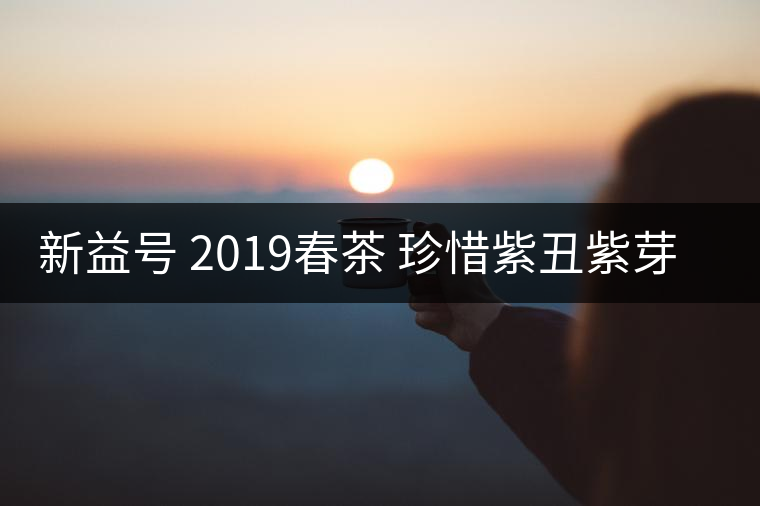 新益號 2019春茶 珍惜紫丑紫芽茶 是什么茶好喝嗎？