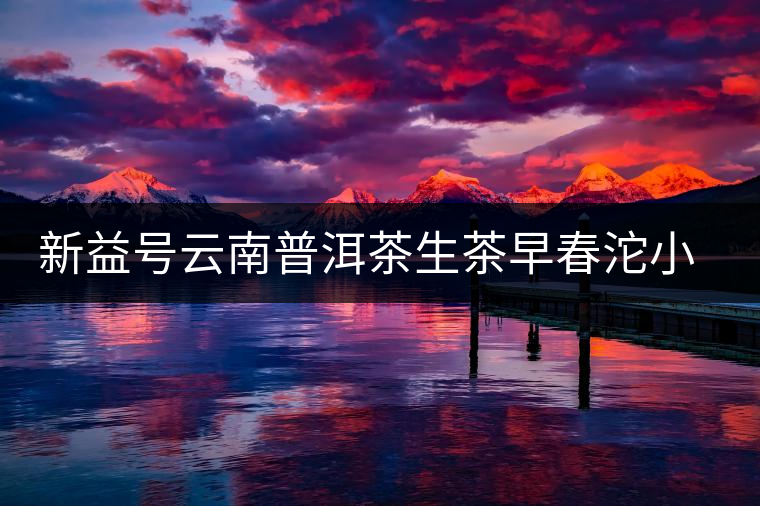 新益號云南普洱茶生茶早春沱小沱茶坨茶滋味如何？